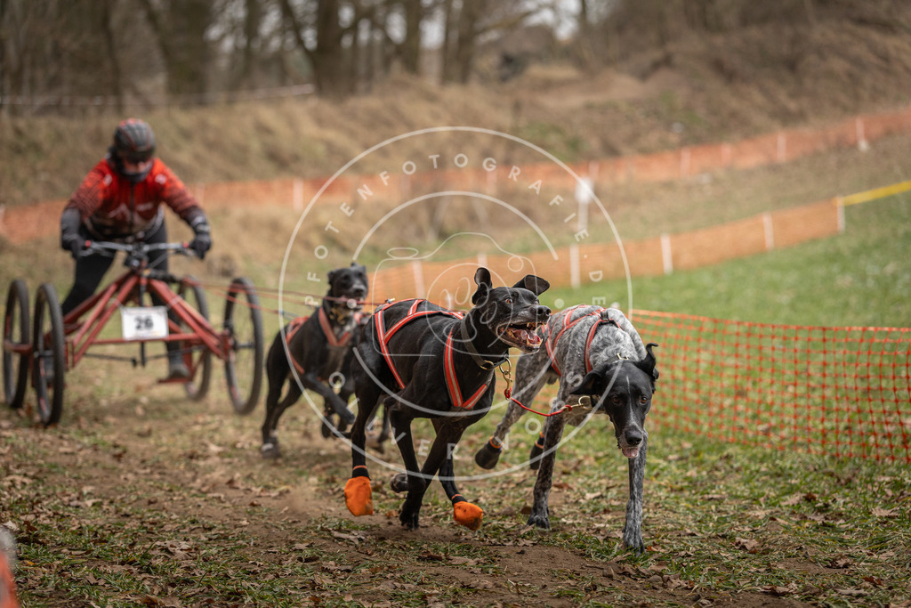 Pfotenfotografie_DV3A8029 | Hundefotografie, Tierfotograf, Pfotenfotografie, Fotoshooting Hund, Hunde Portrait, Hundesport, Hundeportraits, Heideshooting, Hunde, Sportfotograf, Hundefotograf, Turnierhundsport, THS,  - Realisiert mit Pictrs.com