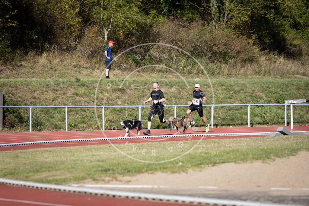 Pfotenfotografie_DV3A9932 | Hundefotografie, Tierfotograf, Pfotenfotografie, Fotoshooting Hund, Hunde Portrait, Hundesport, Hundeportraits, Heideshooting, Hunde, Sportfotograf, Hundefotograf, Turnierhundsport, THS,  - Realisiert mit Pictrs.com