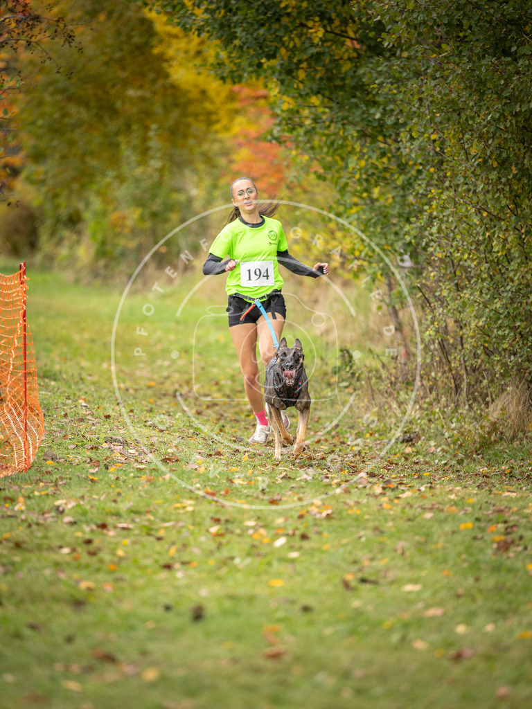 Pfotenfotografie_DV3A3917 | Hundefotografie, Tierfotograf, Pfotenfotografie, Fotoshooting Hund, Hunde Portrait, Hundesport, Hundeportraits, Heideshooting, Hunde, Sportfotograf, Hundefotograf, Turnierhundsport, THS,  - Realisiert mit Pictrs.com