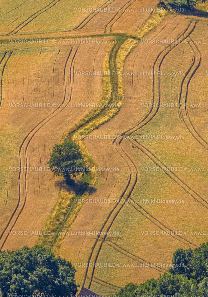Hattingen230708509 | Luftbild, Baum auf einem Feld, Formen und Farben mit Spuren in der Landschaft, Niederstüter, Hattingen, Ruhrgebiet, Nordrhein-Westfalen, Deutschland