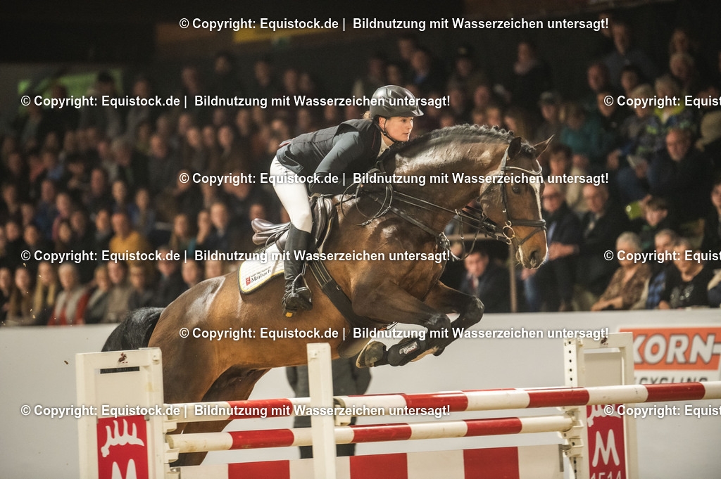 20240302_Hengstvorstellung_Marbach_TOMsPiC_1389-2 | equistock