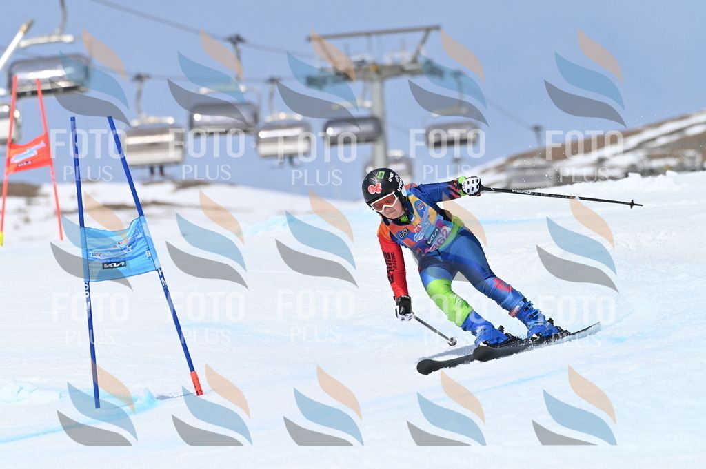 BGV_3875 | holidayphoto