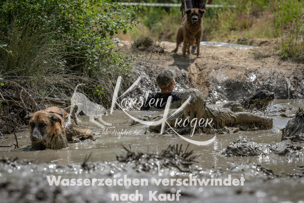 1437_ZZ93369 | kk-dogfotos