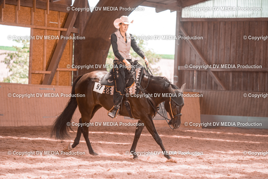 NE300594 | dv-media-shop - Realisiert mit Pictrs.com