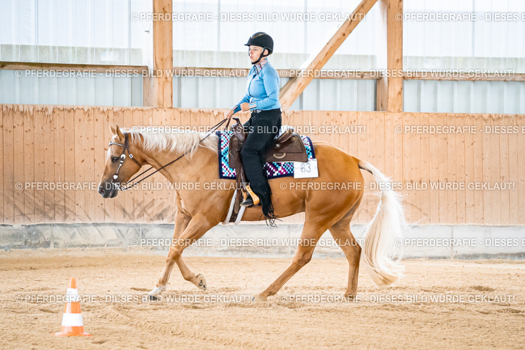 DSC01621 | Pferdegrafie