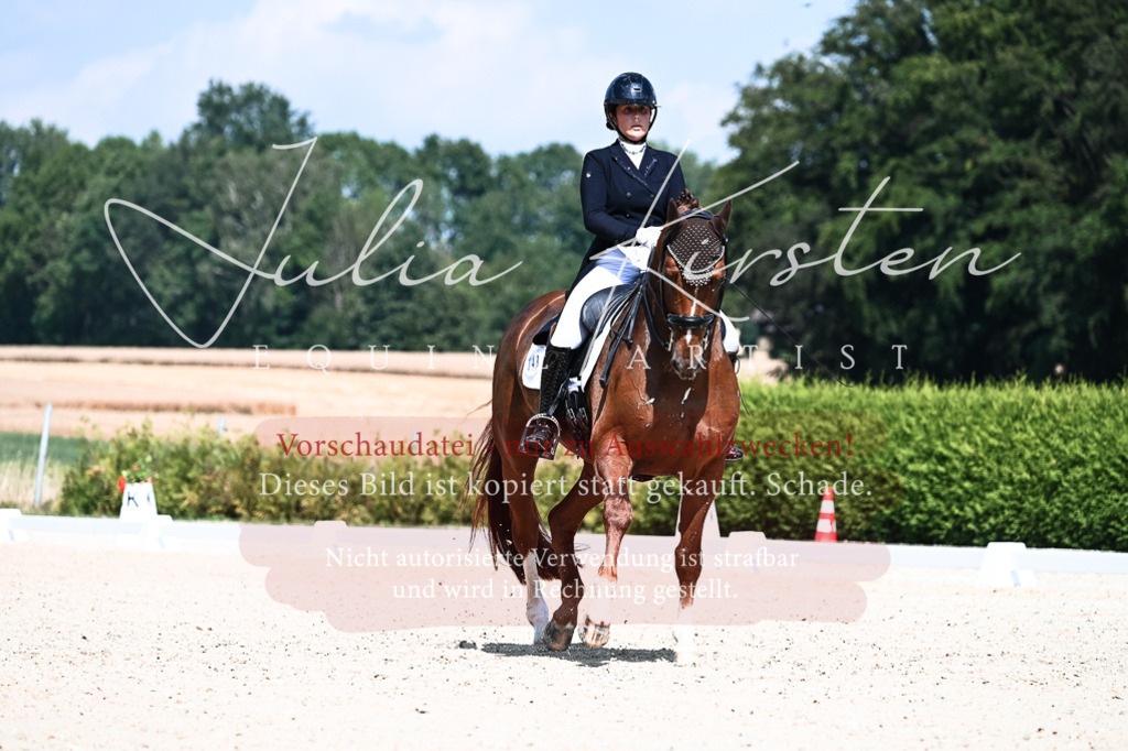 DSC_2849 | Pferde- und Turnierfotografie in Westsachsen. Pferdeportraits, Auftragszeichnungen und intuitive Kunst.
