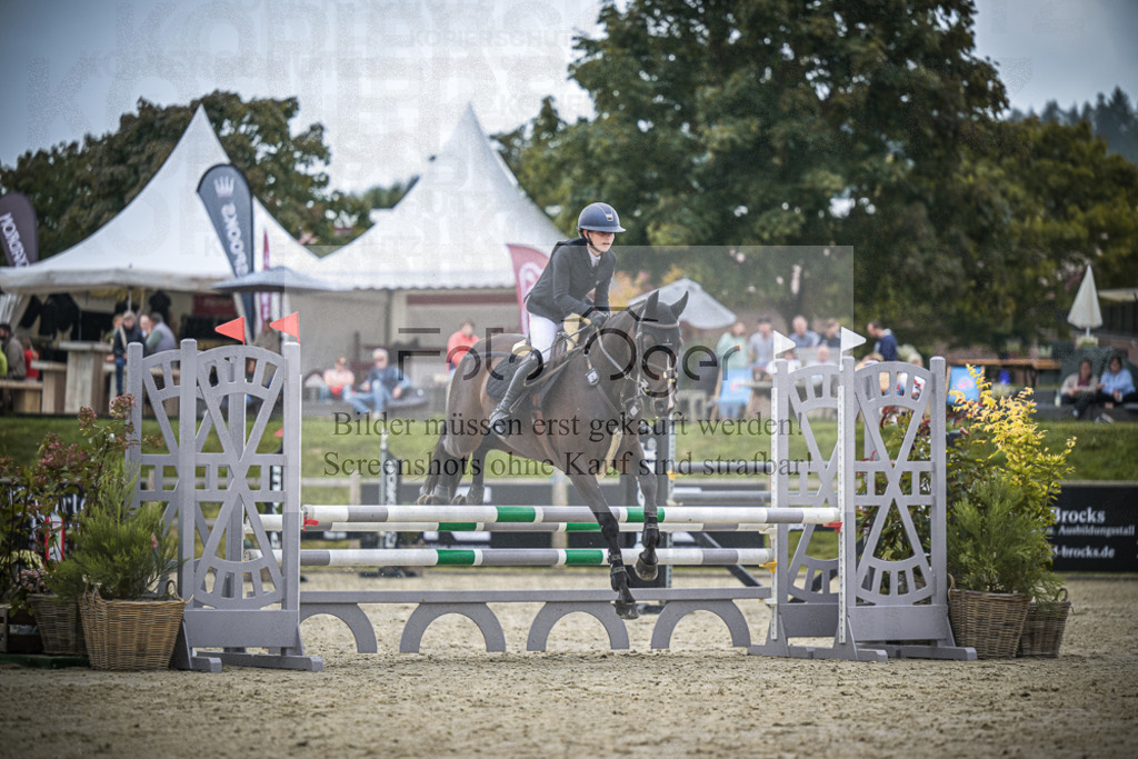DOS_0251 | Entdecke hochwertige Reitturnierfotos von Foto Oger. Professionell, emotional und authentisch – jetzt Lieblingsmomente im Shop bestellen.Deutschlandweite Turnierfotografie. - Realisiert mit Pictrs.com