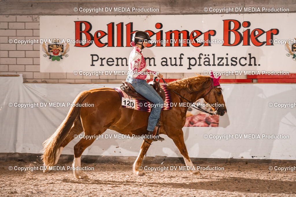 ZH200428 | dv-media-shop - Realisiert mit Pictrs.com