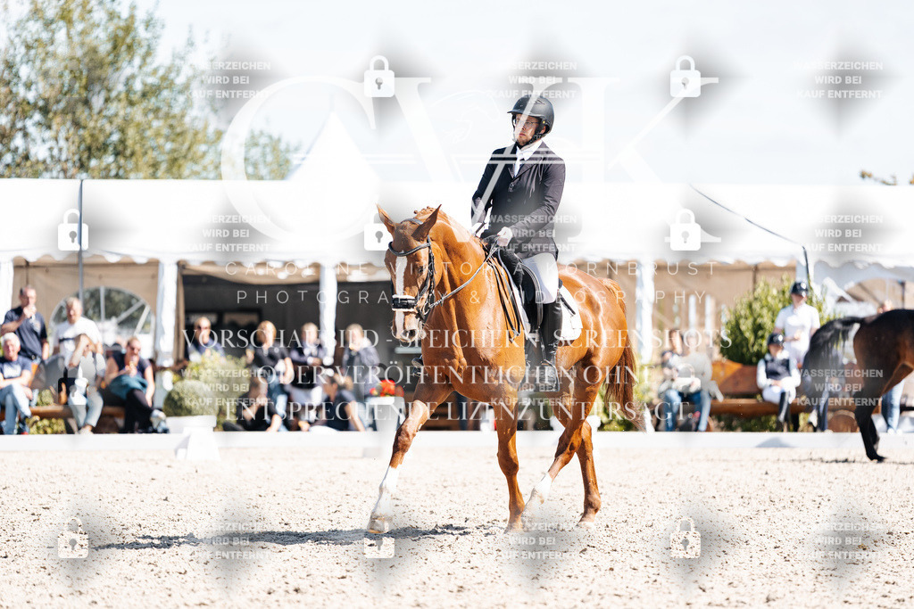 CK903280 | Turnierfotografie Pferdefotografie Trier Rheinland-Pfalz Pferdesport Reitsport Tierfotografie Sportfotografie Pferdevideo Pferdevideografie Equestrianvideography equestrianphotography  - Realisiert mit Pictrs.com