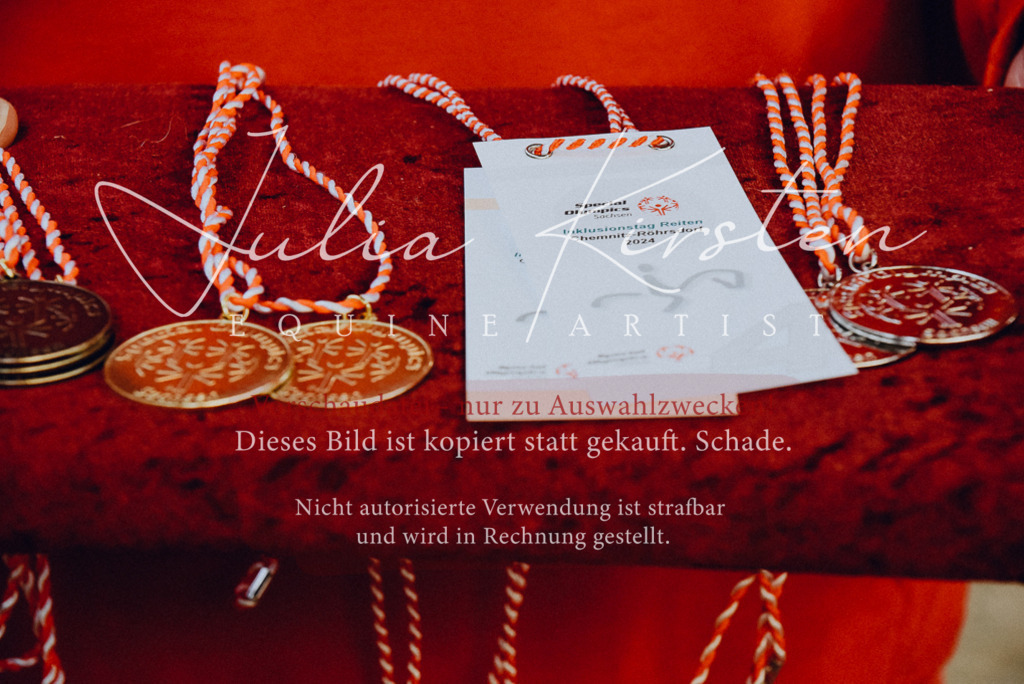 DSC_7115 | Pferde- und Turnierfotografie in Westsachsen. Pferdeportraits, Auftragszeichnungen und intuitive Kunst.