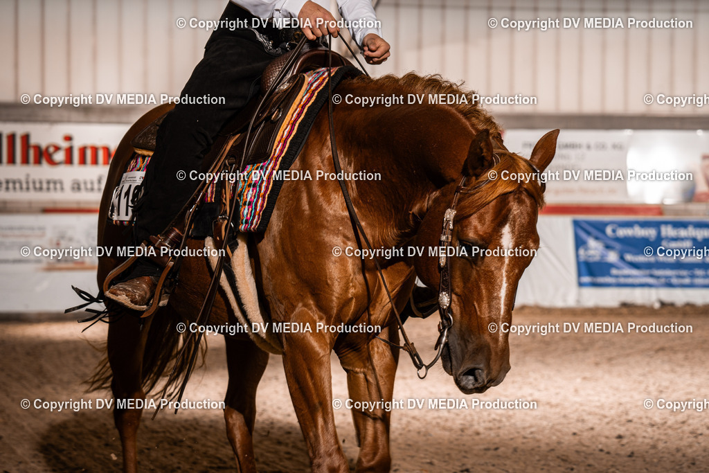 ZH300012 | dv-media-shop - Realisiert mit Pictrs.com