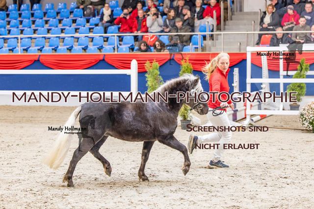 KWERR (81 von 475) | mandyhollmannphotographie