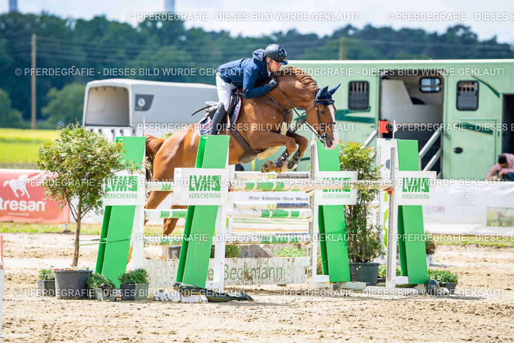 DSC04906 | Pferdegrafie