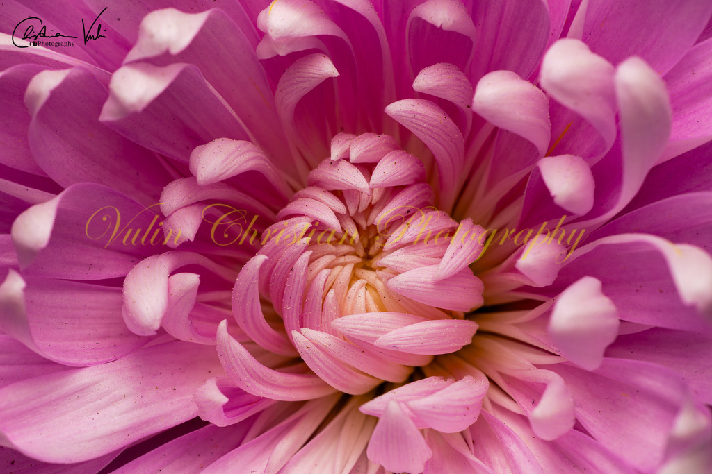 MN 34 | Christian Vulin  - Realisiert mit Pictrs.com