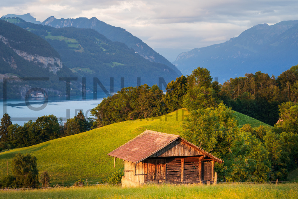 DSC08534 | Tinu Müller Fotografie- Bildershop - Realisiert mit Pictrs.com