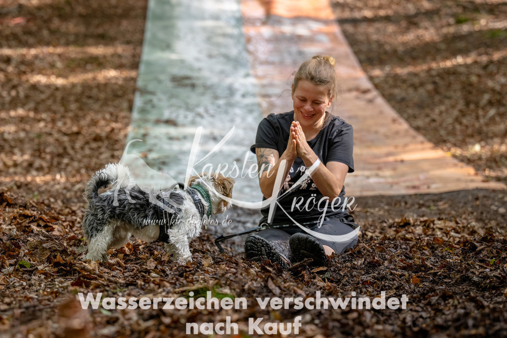 1138_ZZ91729-Bearbeitet | kk-dogfotos