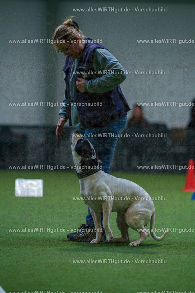 7R503015 | Professionelle Tierfotografie in Mönchengladbach von Daniel Wirth (allesWIRTHgut). Liebevolle & natürliche Bilder von Hunden & Katzen für unvergessliche Erinnerungen.