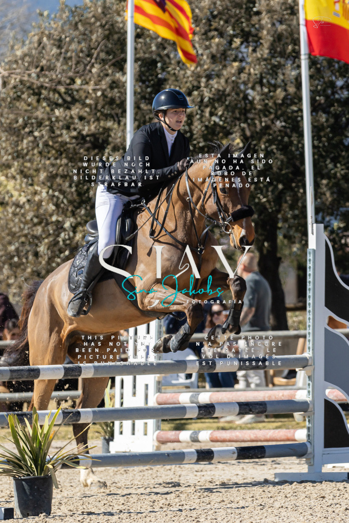 IMG_0308 | s-jay-photography - Realisiert mit Pictrs.com