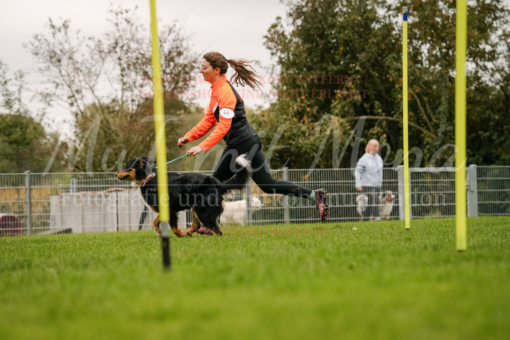 20251005_THS_Turnier-473 | MuT (Mensch und Tier) mit Mona - Fotografie und Tierkommunikation - Realisiert mit Pictrs.com