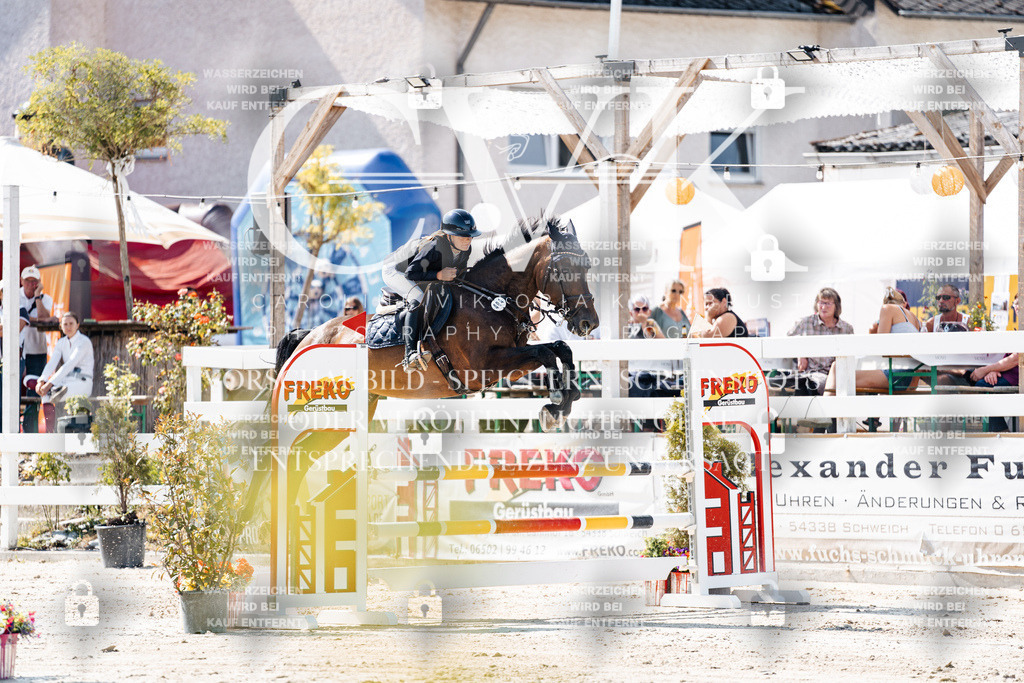 CK908522 | Turnierfotografie Pferdefotografie Trier Rheinland-Pfalz Pferdesport Reitsport Tierfotografie Sportfotografie Pferdevideo Pferdevideografie Equestrianvideography equestrianphotography  - Realisiert mit Pictrs.com