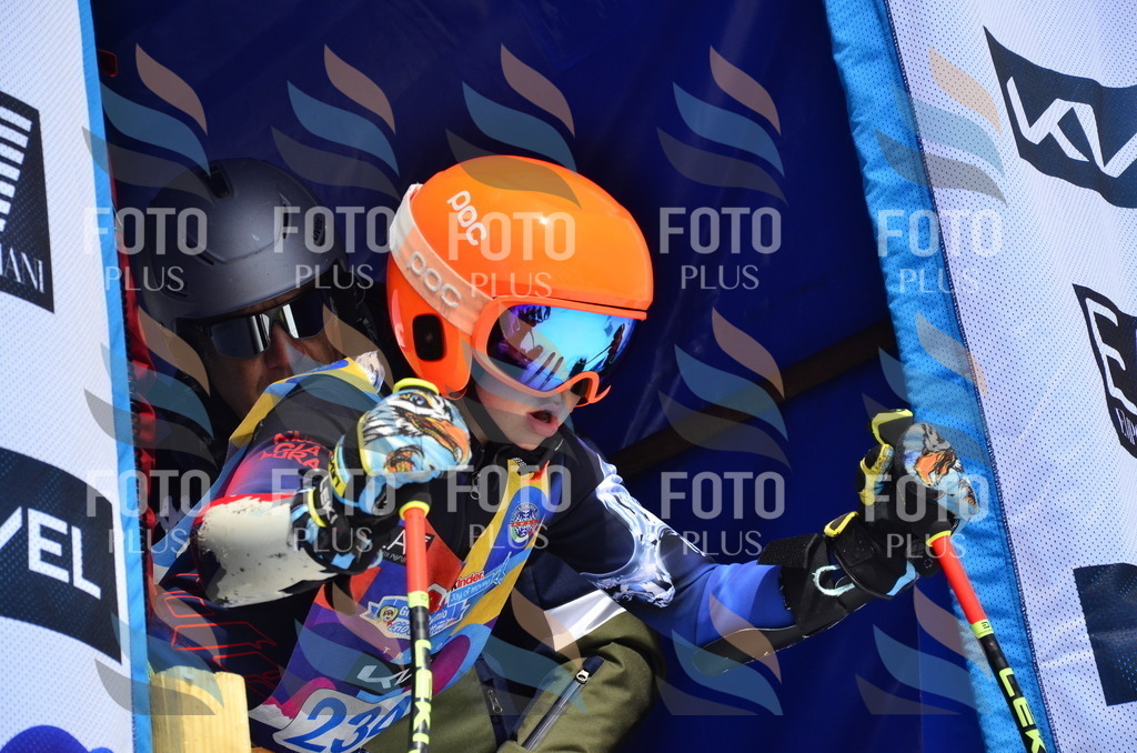 _ELE1667 | holidayphoto