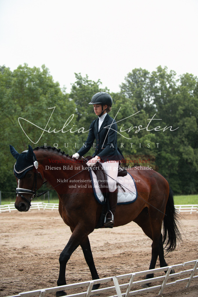 DSC_9895 | Pferde- und Turnierfotografie in Westsachsen. Pferdeportraits, Auftragszeichnungen und intuitive Kunst.