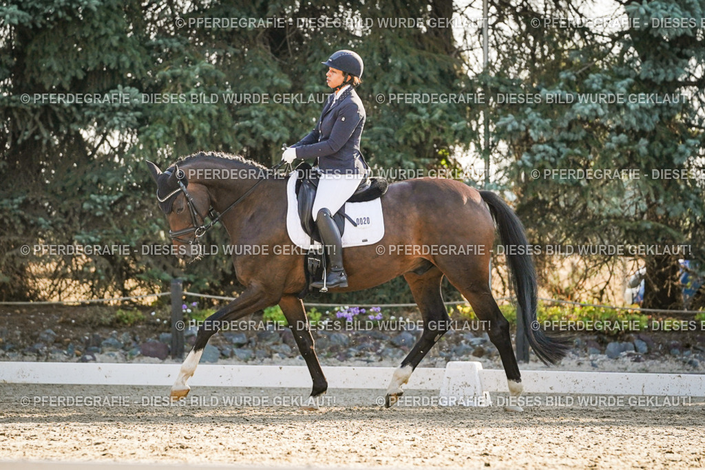 DSC08533 | Pferdegrafie