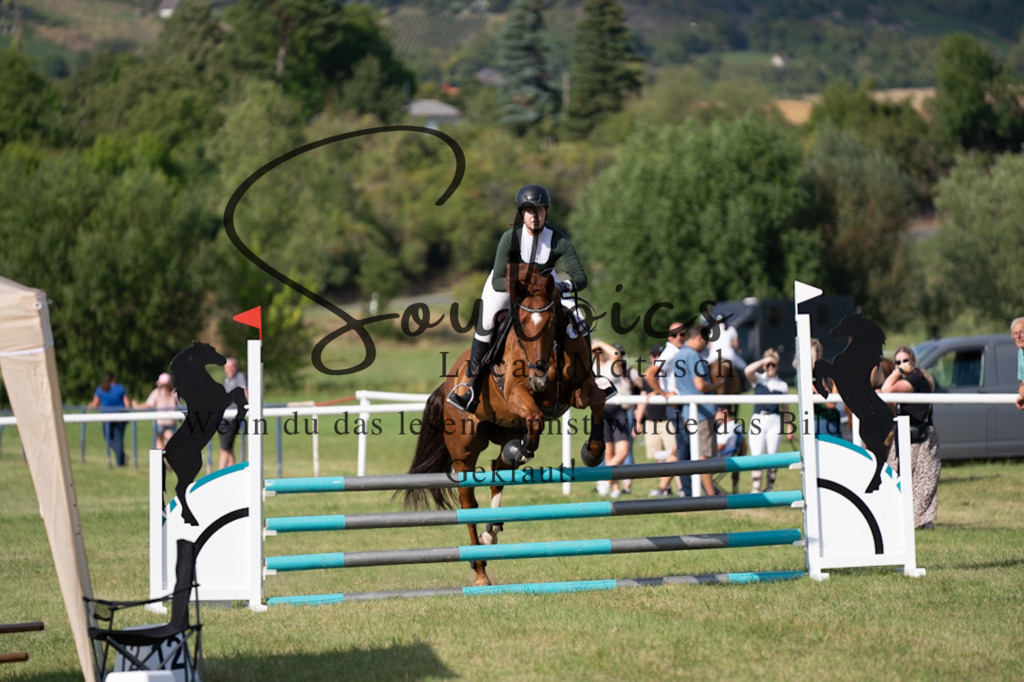 A7V00611 | Pferdefotograf