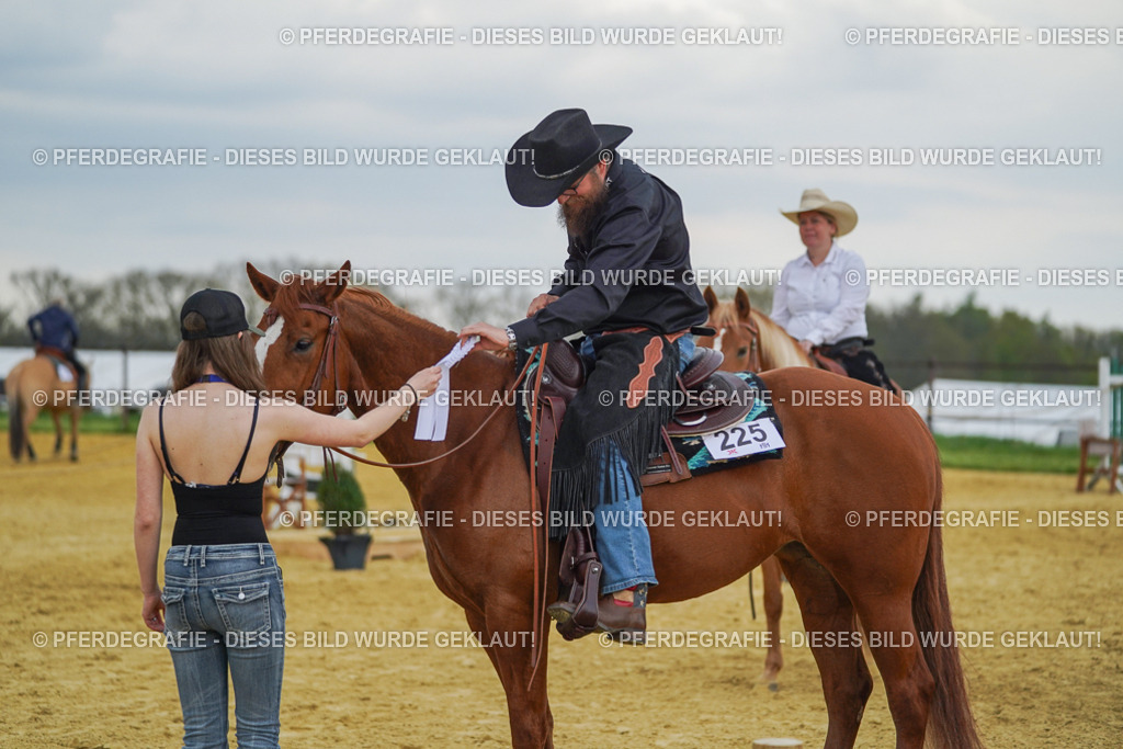 DSC08286 | Pferdegrafie