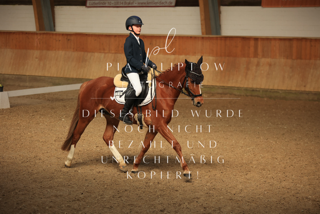 IMGT5178 | pl-fotografie