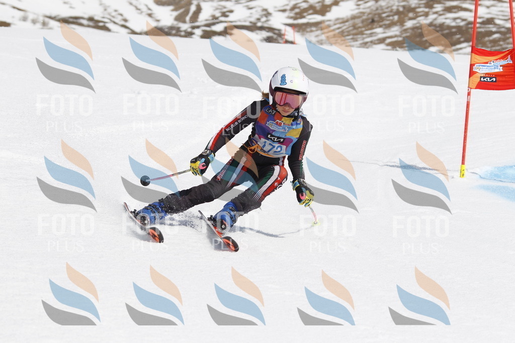 _U3G1587 | holidayphoto