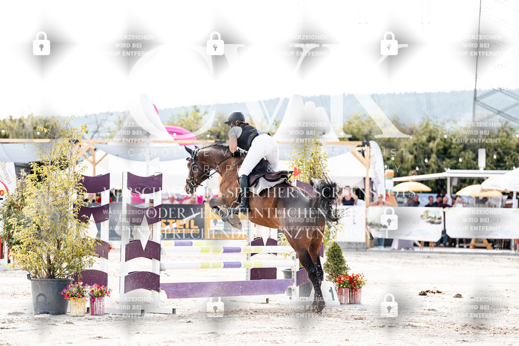 CK906290 | Turnierfotografie Pferdefotografie Trier Rheinland-Pfalz Pferdesport Reitsport Tierfotografie Sportfotografie Pferdevideo Pferdevideografie Equestrianvideography equestrianphotography  - Realisiert mit Pictrs.com