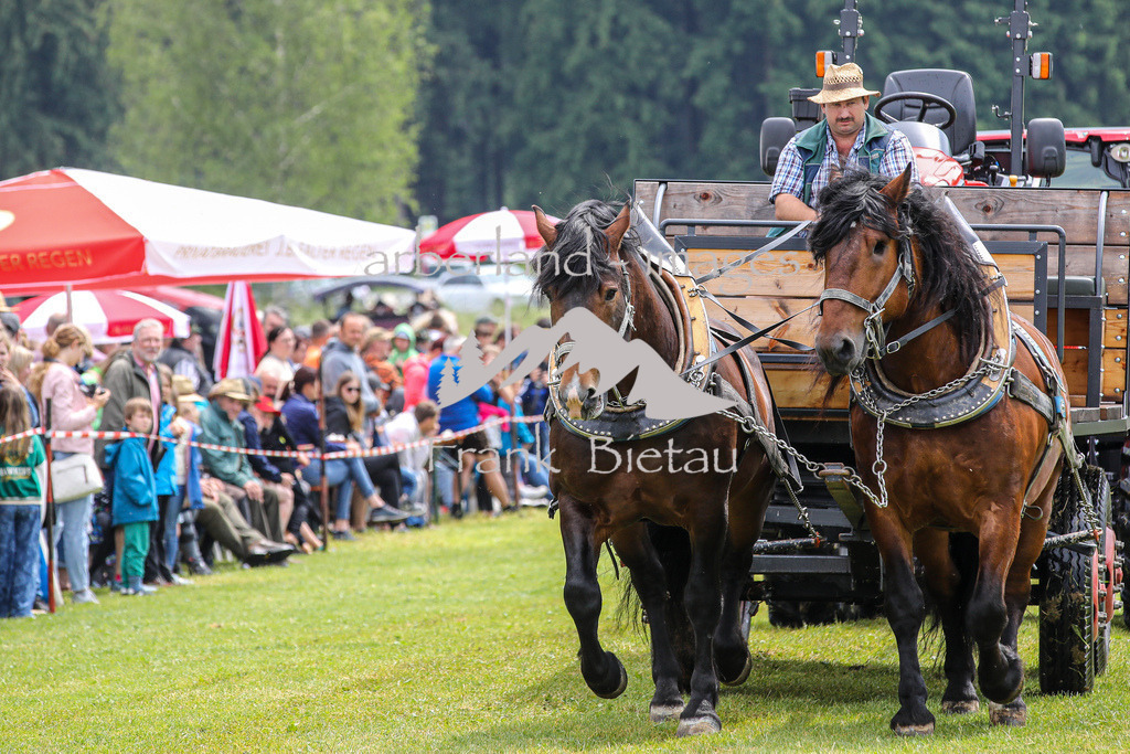 OE7A7070 | Medien- Sport- Entertainmentfotos