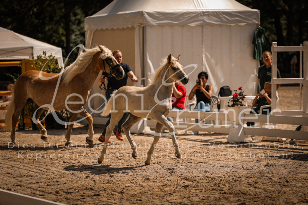 06.DoH00125 | Leoni Ertmer Photography - Realisiert mit Pictrs.com