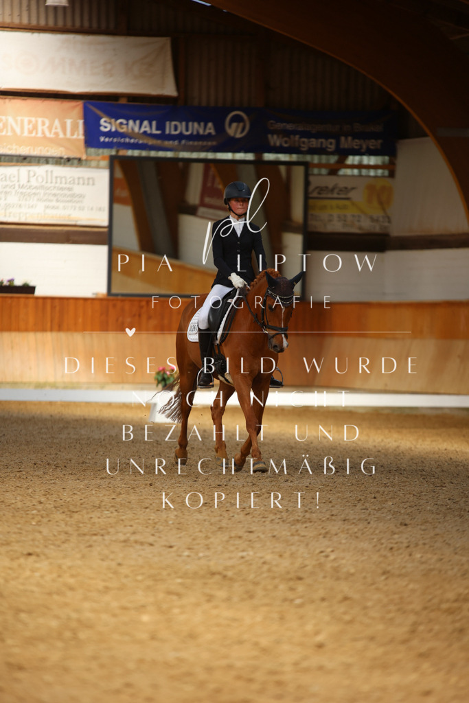 IMGM4831 | pl-fotografie