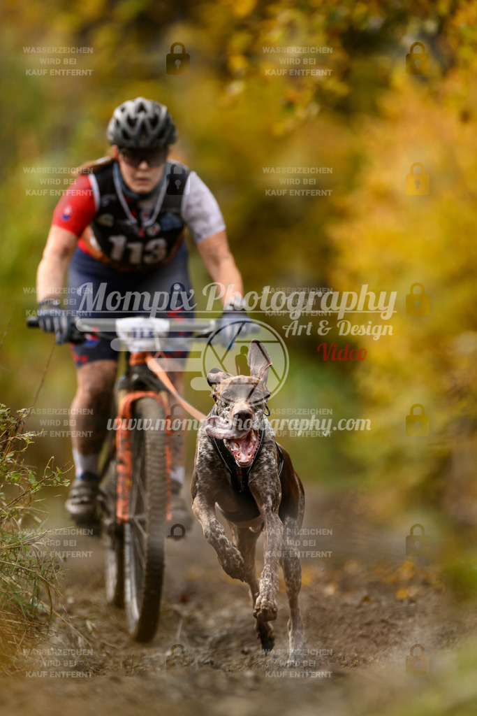 MompixPhotography_ICF_WC_2024_SA_Bike_-89 | PayLife