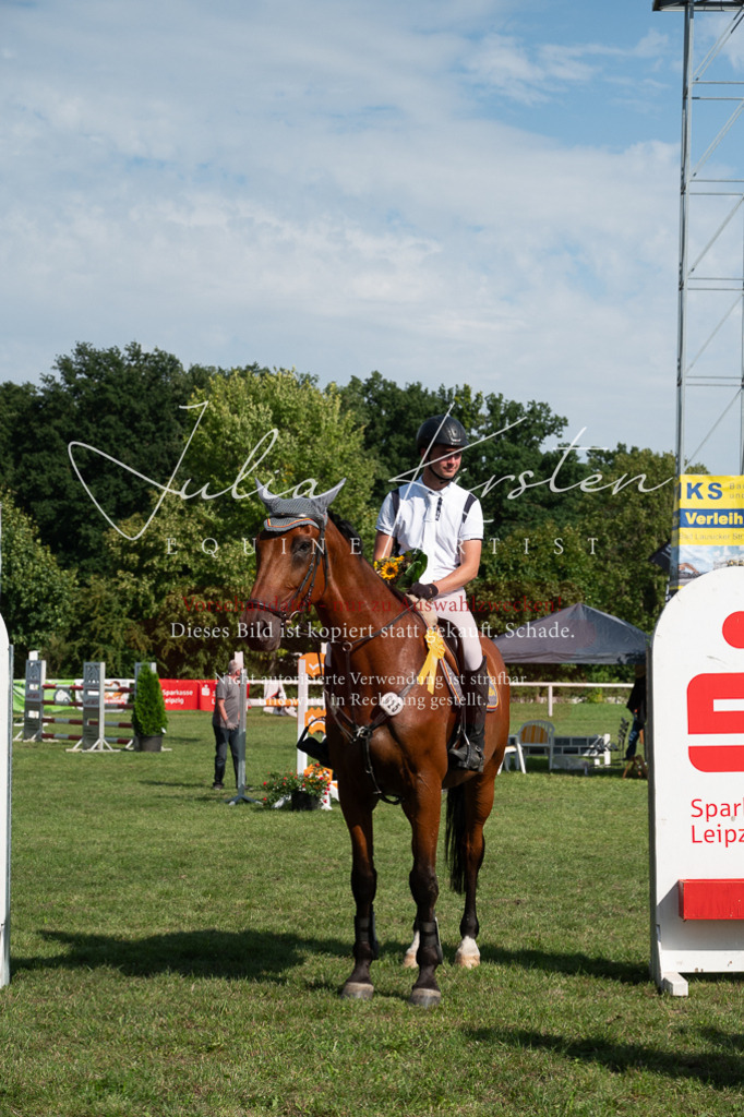 DSC_1027 | Pferde- und Turnierfotografie in Westsachsen. Pferdeportraits, Auftragszeichnungen und intuitive Kunst.