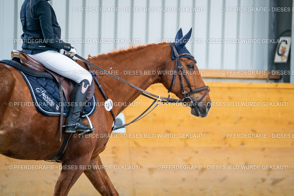 DSC01332 | Pferdegrafie