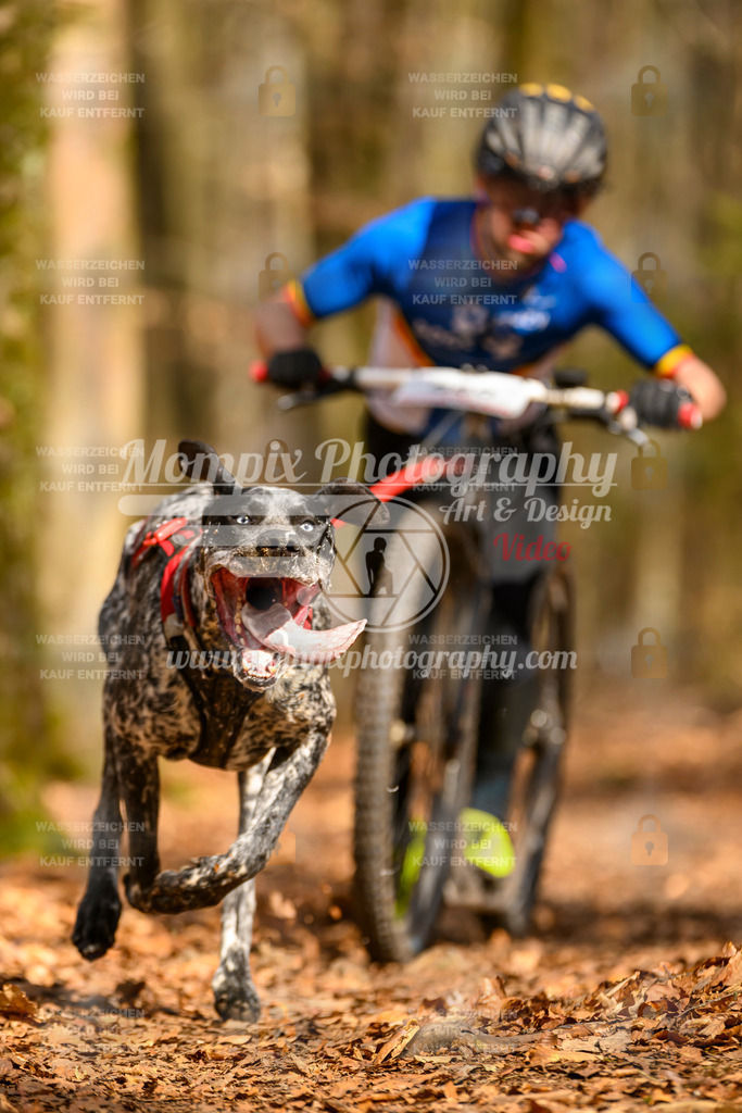 MompixPhotography_Habay2025_SA_SCO-43 | PayLife