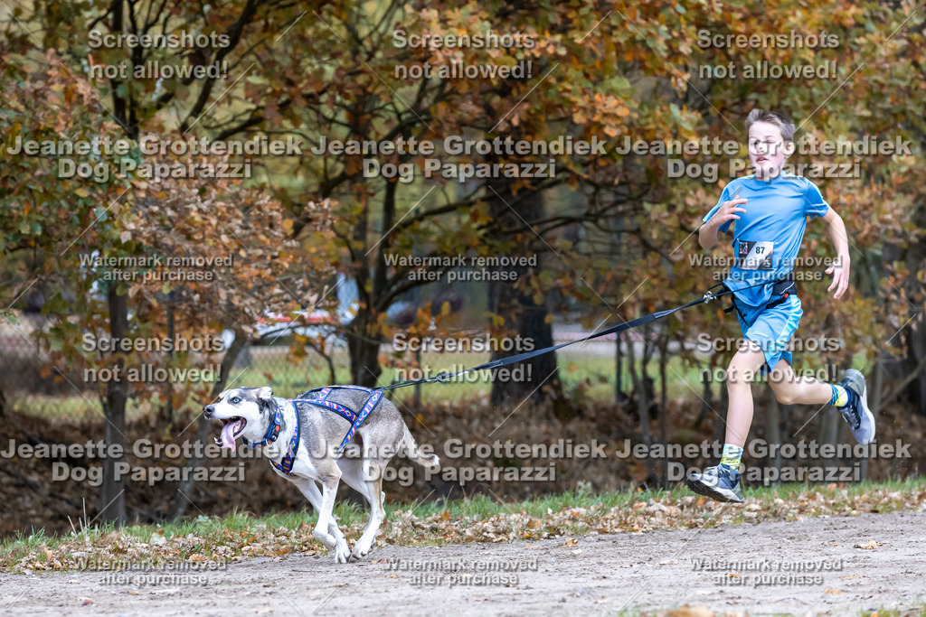 Dog Paparazzi - SD CaniX Championship 2025-617 | Dog Paparazzi Jeanette Grottendiek Fotografie & Videografie - Realisiert mit Pictrs.com