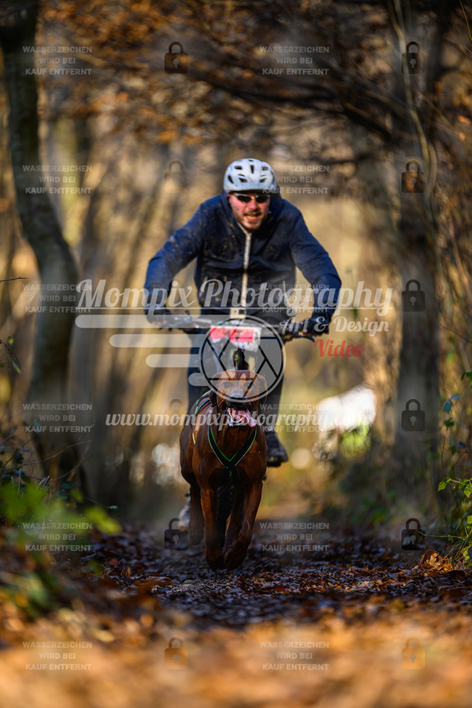 MompixPhotography_Eschau2024_Bike-47 | PayLife