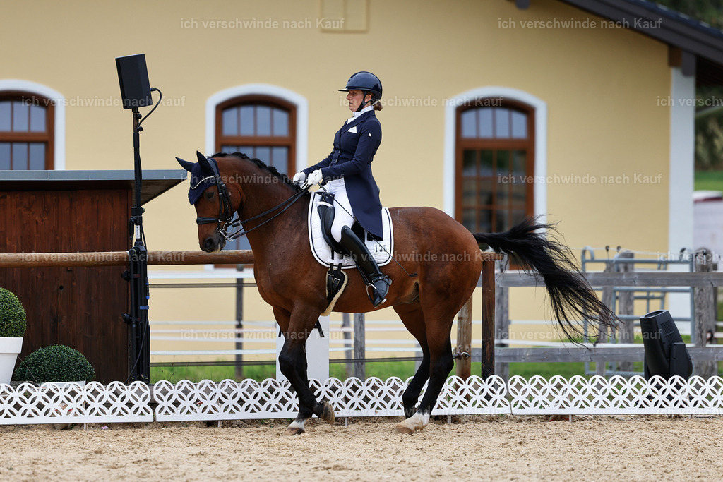 11-036-Dressur S___-StoibPH-1433 | working equitationturnier fotograf videograf stoibphotography marixx film working equitation deutschland reitsport turnierfotografie eventfotografie equestrian events