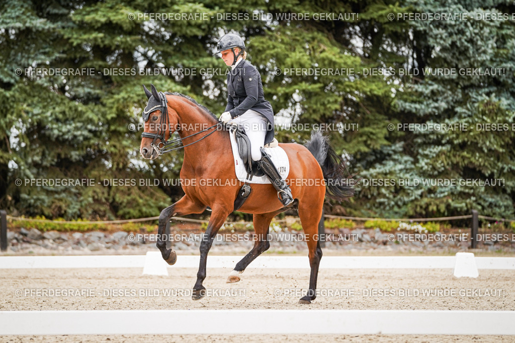 DSC07181 | Pferdegrafie