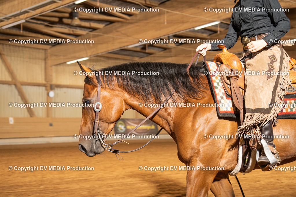 NID01464 | dv-media-shop - Realisiert mit Pictrs.com