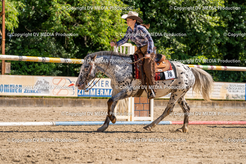 Zeiskam Tag 2-750 | dv-media-shop - Realisiert mit Pictrs.com