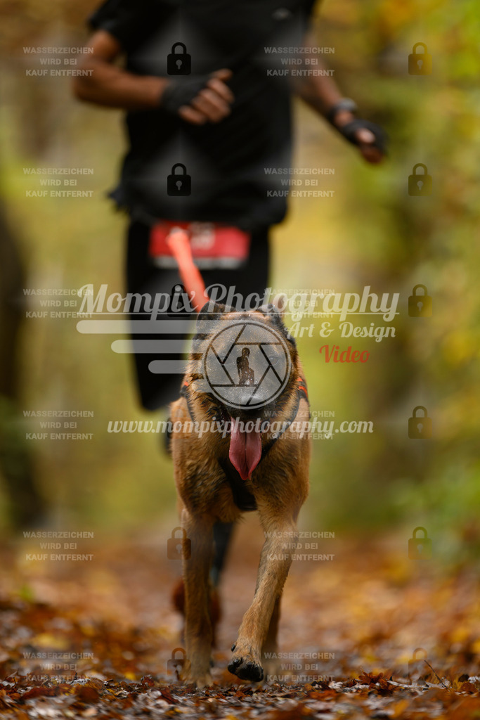 MompixPhotography_CD7S_DI_CCL-18 | mompixphotography