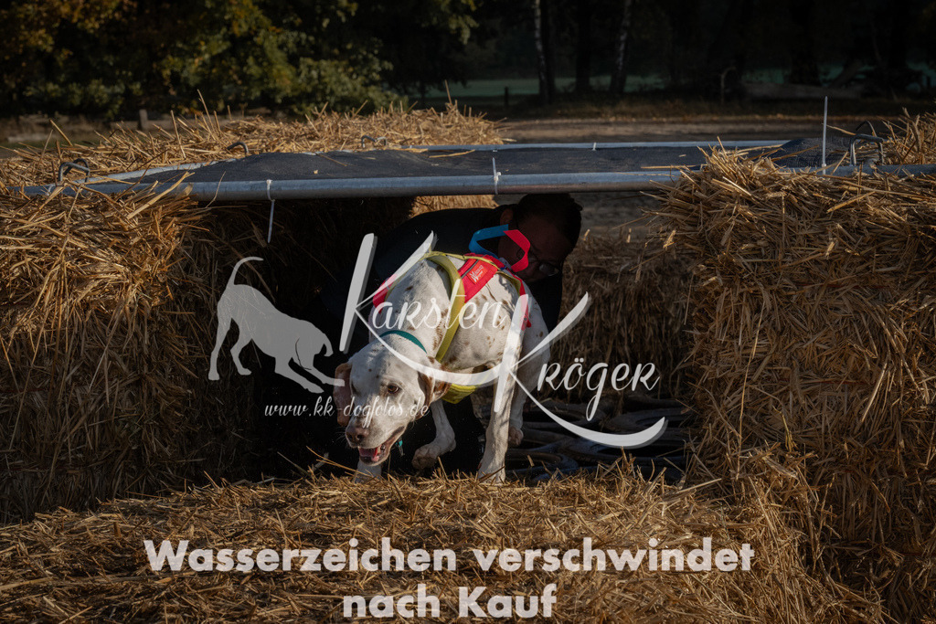 0947_ZZ94794 | kk-dogfotos