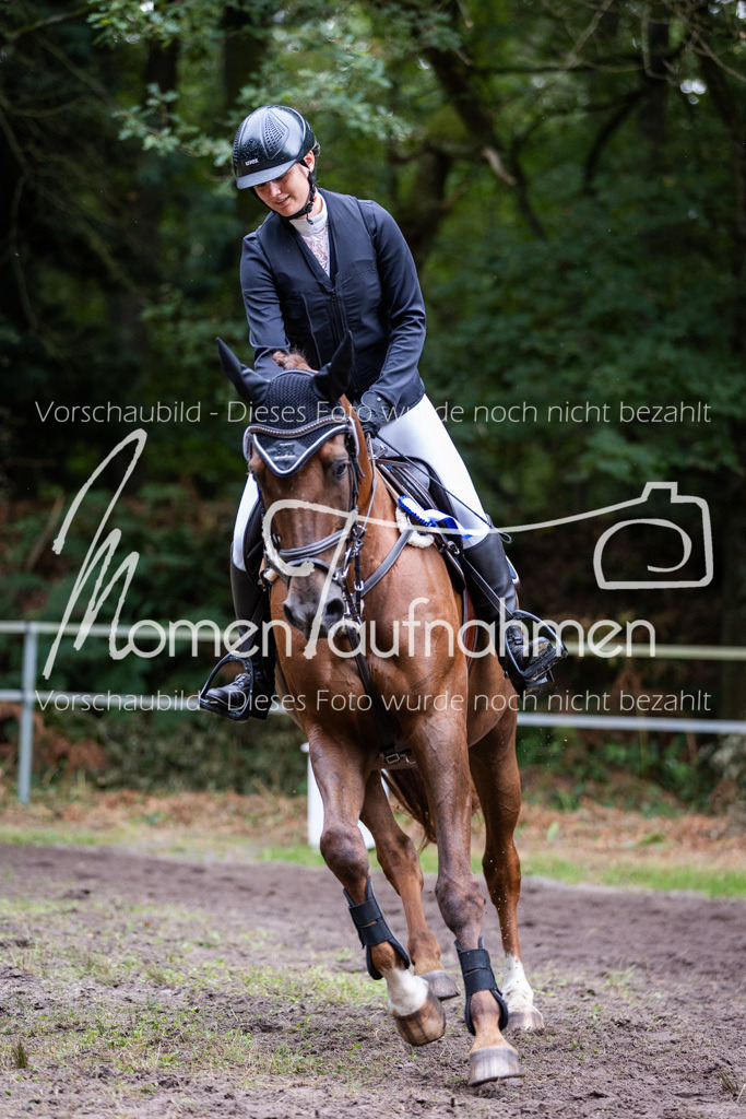 HB-Springreiter-072 | MomenTaufnahmen Pferdesportfotos