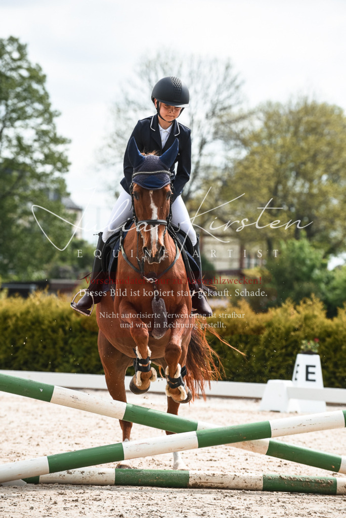 20230518_JK-Röhrsdorf-10-009 | Pferde- und Turnierfotografie in Westsachsen. Pferdeportraits, Auftragszeichnungen und intuitive Kunst.