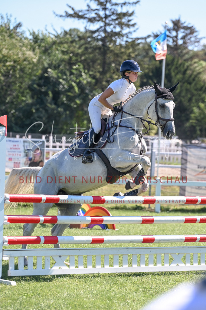 Schugtsche-Düren.2024.03-Springpferde.L-25 | Schugtsche Fotografie - Realisiert mit Pictrs.com